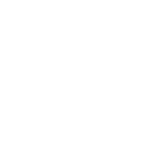 Pilot Pen Malaysia Namiki Fountain Pen Logo